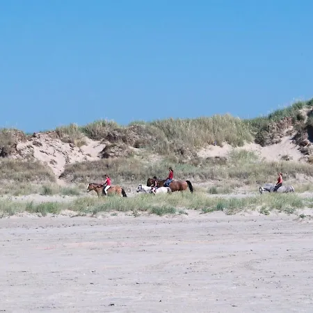 Holiday home Elise - 800m From The Sea In Western Jutland By Interhome *