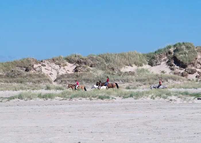 Elise - 800m From The Sea By Interhome Lakolk